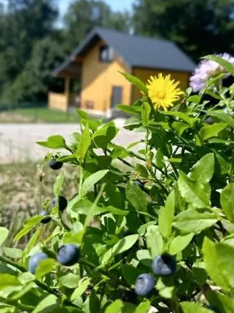 Feriehus W Borowkach