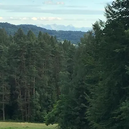 Vakantiehuis W Borowkach