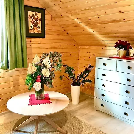 Feriehus W Borowkach